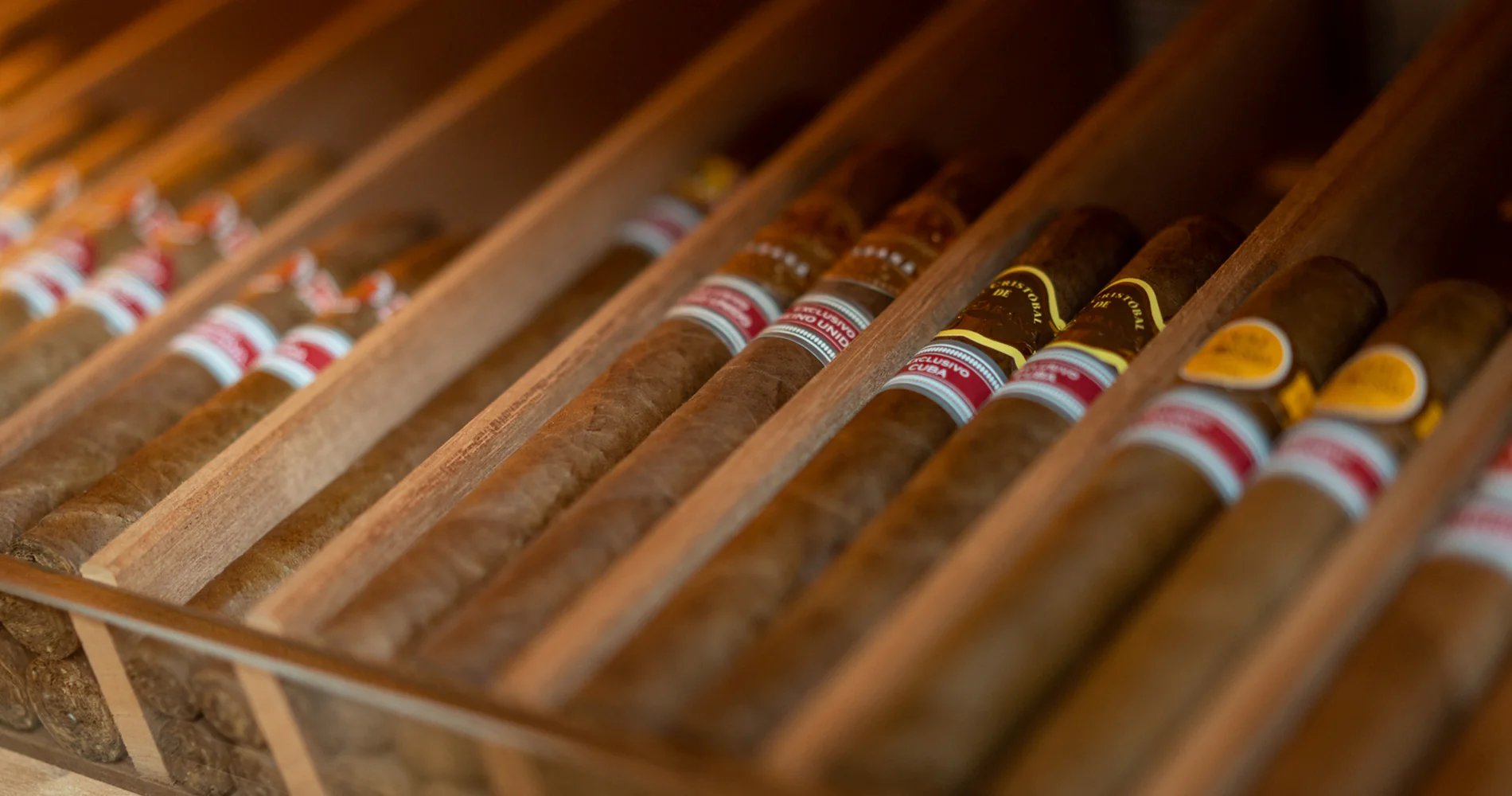 Regional Edition Cigars
