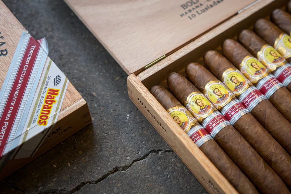 Bolivar Lusiadas Cigar (Ex. Portugal 2017) Cigars